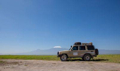 A BROWN VEHICLE PARKED ON GRASSLAND LAND CRUISER