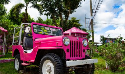 PINK CAR PARKED ON THE GREEN GRASS