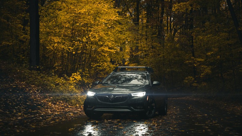 BLACK CAR ON ROAD NEAR FOREST BUICK CAR