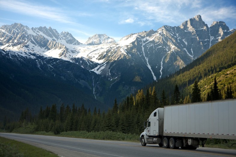 WHITE DUMP TRUCK NEAR PINE TREES DURING DAYTIME