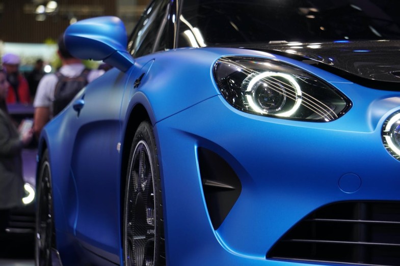 CLOSE-UP OF A BLUE ALPINE