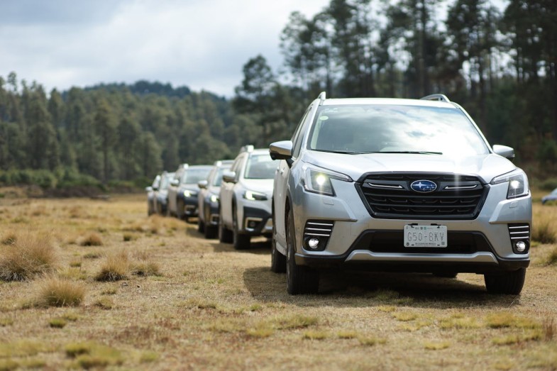 SUBARU FORESTER IN FOREST