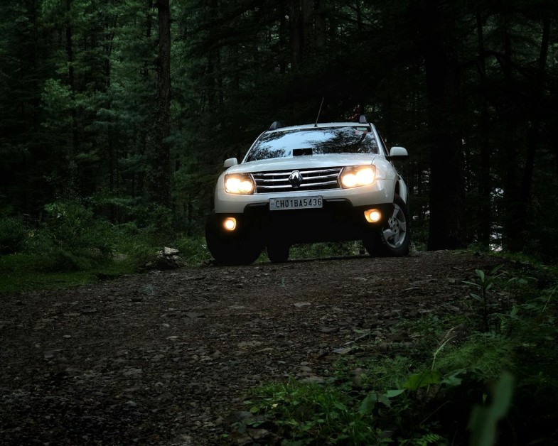 PHOTO OF A VEHICLE ON DIRT ROAD SORROUNDED BY TALL TREES RENAULT