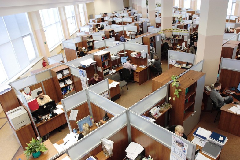 OFFICE CUBICLES EMPLOYEES WORKING
