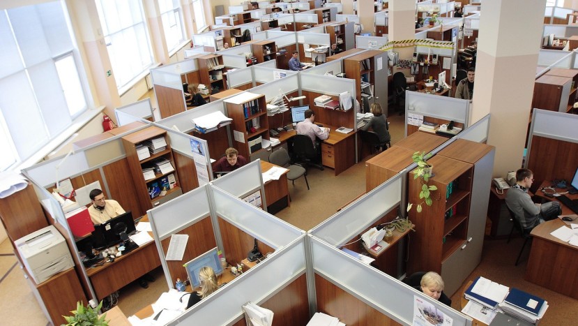 OFFICE CUBICLES EMPLOYEES WORKING