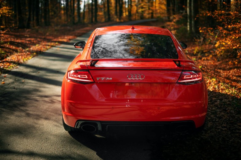 RED AUDI DRIVING THROUGH THE AUTUMAL FOREST