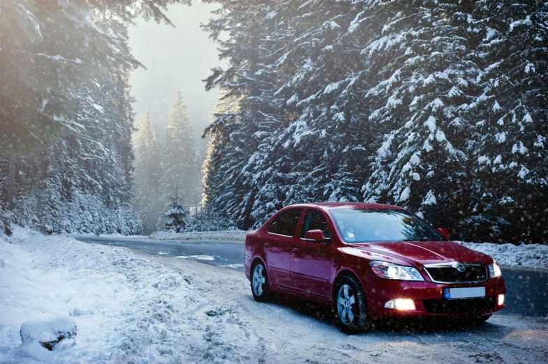 RED SEDAN IN THE MIDDLE OF FOREST