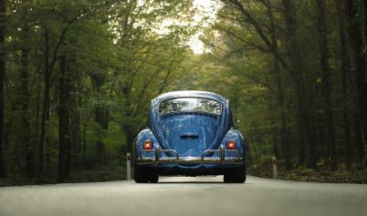 VW BEETLE CAR CLASSIC CAR FOREST